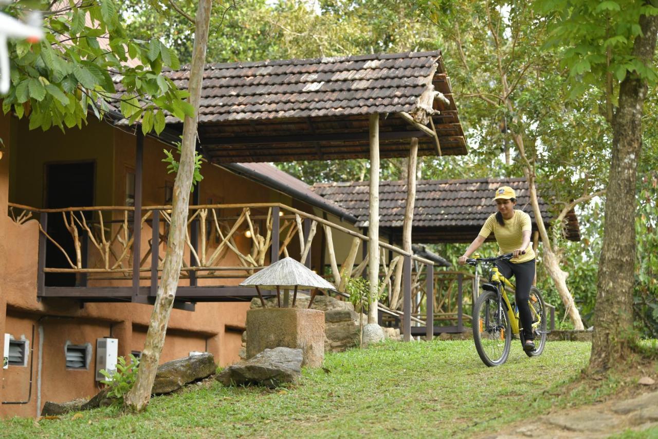 Апартаменты Beyond Eco Living Муннар Экстерьер фото